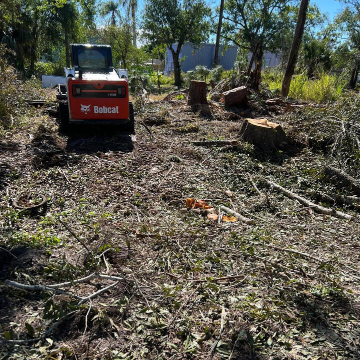 Demolition and Removal Demolition and Removal Picture